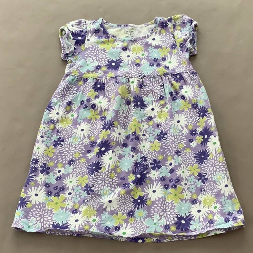 L.L. Bean dress